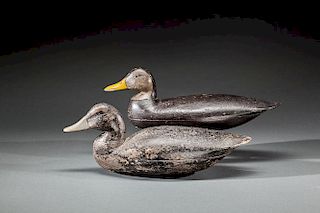 Two Black Duck Decoys