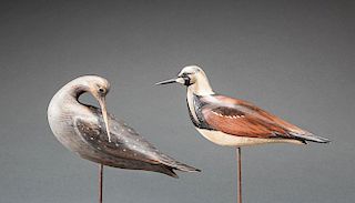 Two Shorebirds