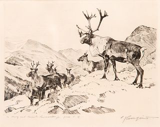 Carl Rungius (1869-1959); Mountain Caribou; The Traveler
