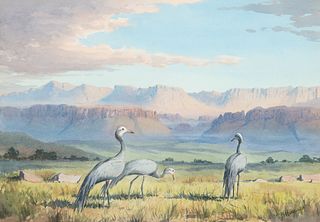 John Cyril Harrison (1898-1985); Blue Cranes at Sunrise; Crowned Cranes at Luangwa Valley; Secretary Birds; Martiel Eagle Taking Off
