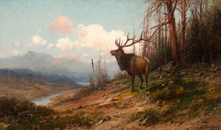 John Fery (1859-1934); Elk (1903)