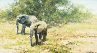 David Shepherd (1931-2017); Young Elephants Foraging (1993)