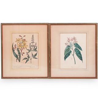 (2 Pc) Botanical Framed Bookplates