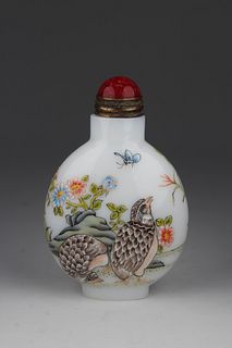 Unusual Chinese Enameled Glass Snuff Bottle