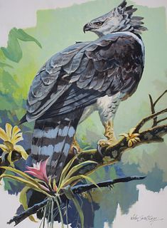John Swatsley (B. 1937) "Harpy Eagle"