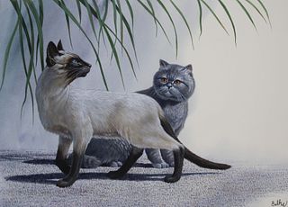 Don Balke (B. 1933) Siamese / Exotic Shorthair Cat