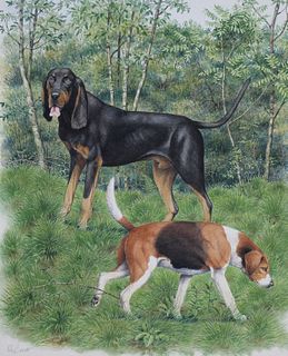 Peter Barrett (B. 1935) Coonhound and Foxhound
