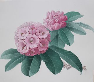 Zeng Xiaolian (B. 1939) "Rhododendron Rex"