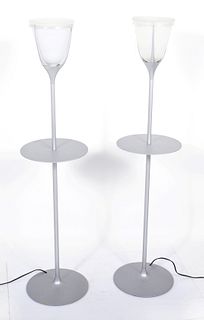 Modern Metal & Frosted Glass Floor Lamps, Pr