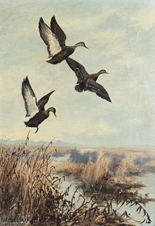 Roland Clark (1874-1957) Black Ducks 