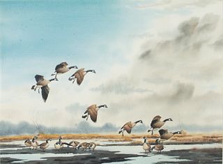 Arthur M. Cook (b. 1931)  Geese Pitching In