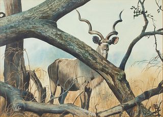 Bruce Lattig (b. 1933) Kudu 