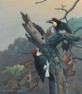 Harry Curieux Adamson (1916-2012) Acorn Woodpeckers 