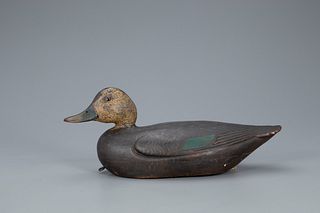 Black Duck Decoy, Charles Hart (1862-1960)