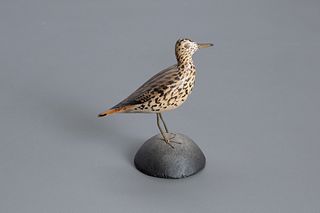 Miniature Upland Plover, A. Elmer Crowell (1862-1952)