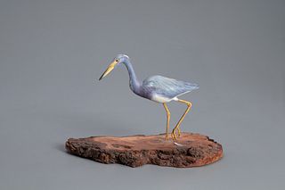 Miniature Tricolored Heron, Steve Weaver (b. 1950)