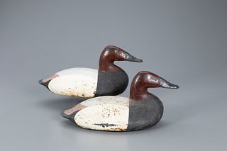 Cast Iron Canvasback Wing Duck Pair