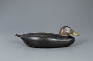 Black Duck Decoy, Willard C. Baldwin (1890-1979)