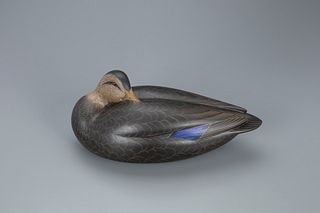 Sleeping Black Duck Decoy, Keith Mueller (b. 1956)