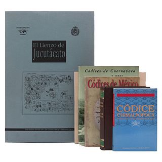 LOTE DE LIBROS SOBRE LIENZOS Y CÓDICES MEXICANOS. a) Códice de Tlatelolco. b) Códices de México. c) Códice Chimalpopoca. Pzs: 6.