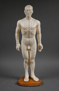 Male ACUPUNCTURE Body Model