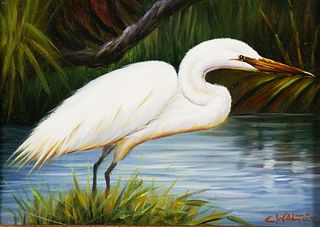 C. WALTER, O/B, White Water Bird