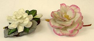 Boehm Porcelain Gardenia Together with a Porcelain Camellia, possibly Boehm