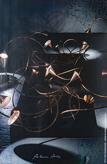 Horn, Rebecca<br><br>Lotusschatten Unna, Zentrum fr internationale Lichtkunst, 2006, 80x52 cm.