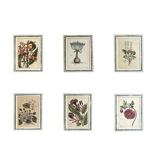 Six (6) 18th C. Hand Colored Botanical Engravings