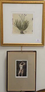 Three framed pieces to include Louis Orr etching, Yale University, plate 9 1/2" x 6 1/2", A.M. Autorino signed nude etching, plate 6" x 4" and a charc