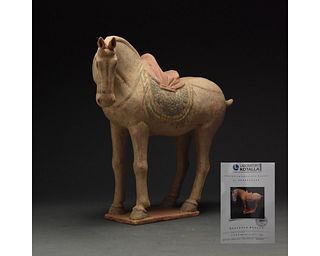 CHINESE TANG DYNASTY HORSE FIGURE - TL TESTED