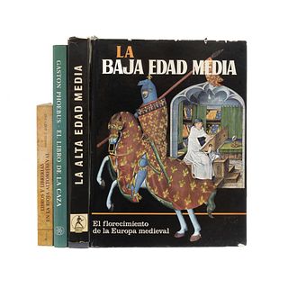 LOTE DE LIBROS SOBRE EDAD MEDIA. a) Libros y Librerias en la Rioja Altomedieval. b) La Alta Edad Media. Pzs: 4.