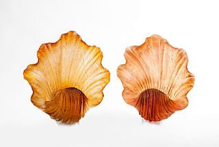 Two Shell-Form Decorations