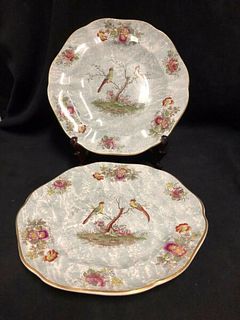 PAIR OF MASONS IRONSTONE ANTIQUE CHINA PLATES DECORATED WITH BIRDS