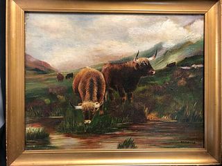 An oil painting of highland cattle signed