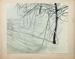 Frederica Anderson: Winter Grass; and Winterset