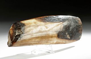 Ancient Alaskan Fossilized Bone / Tusk Hand Tool
