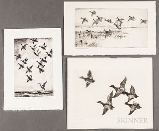 Frank Weston Benson (American, 1862-1951)      Three Large Images of Water Fowl: Flying Widgeon