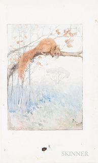 Honor Charlotte Appleton (British, 1879-1951)      Illustration for How I Tamed the Wild Squirrels