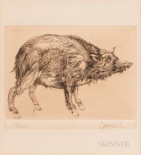 Thomas Cornell (American, 1937-2012)      Wild Pig