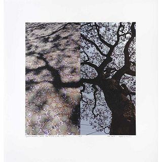 LILIANA PAGANINI, Jacaranda entre la tierra y el cielo, Digital print on cotton paper 1 / 5, 15.7 x 15.3" (40 x 39 cm)