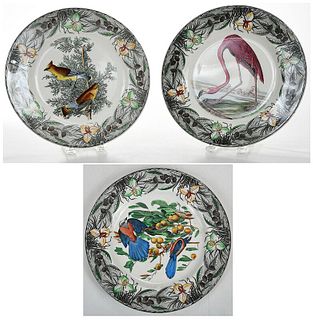 Twelve Adams Audubon "Birds of America" Plates