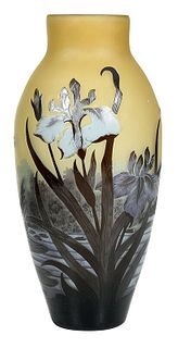 Iris and Dragonfly Cameo Art Glass Vase