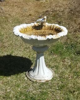White Painted Cast Iron Bird Bath with Perched Bird at Rim's Edge