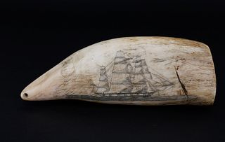 Scrimshaw Sperm Whale Tooth, circa 1860