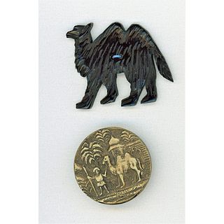 TWO DIVISION 1 AND DIVISION 3 BUTTONS OF CAMELS