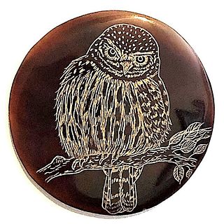 ANOTHER OWL BUTTON ON PIN SHELL BY NANCY DUBOIS