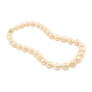 Golden South Sea Pearls Necklace