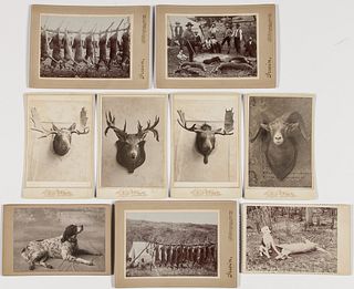 Nine Cabinet Card Photos of Dogs, Taxidermy, and Hunting Scenes