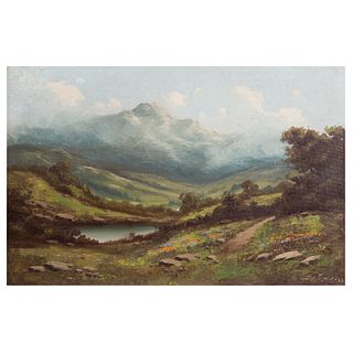 Richard DeTreville, Lake with Mountains